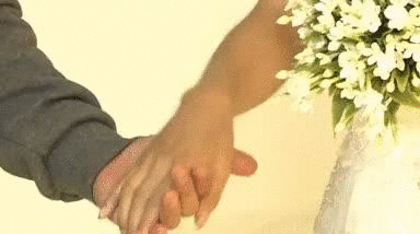 热点热门 萌宠表情 萌娃表情 斗图表情 锦鲤 土味语录 套路图 来自