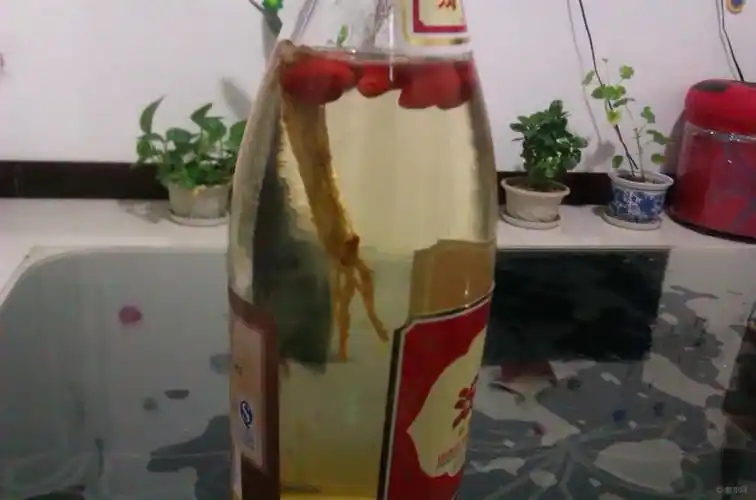 【原创首发帖】自己弄的东北人参枸杞泡药酒