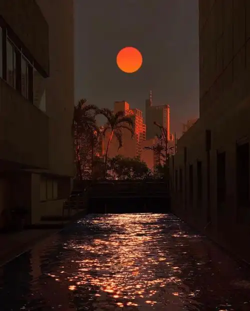 3月9日 16:20   关注  ins潮图 神仙背景