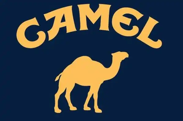 骆驼标志服饰什么牌子