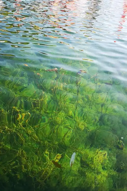 清澈见底的湖水