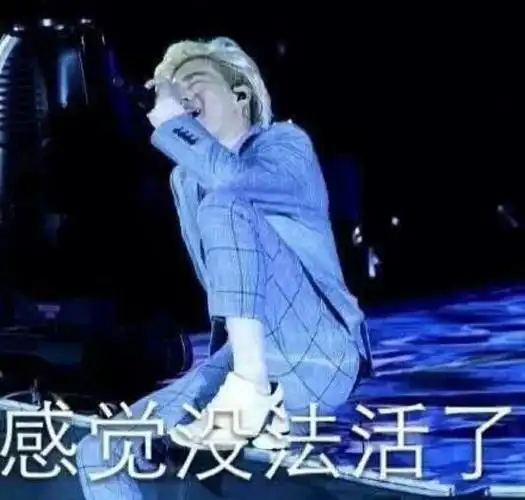 感觉没法活了 - 斗图大会 - exo,表情包,斗图啦,斗图表情库 - 真正的