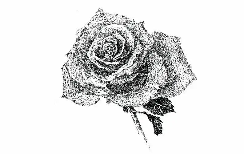 原创手绘-黑白点画