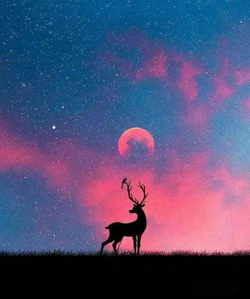 触动心弦的情感文案哪一句让你为之心动