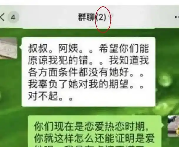 郑爽曝张恒出轨聊天记录截图被质疑p图造假网友纷纷现场讨论