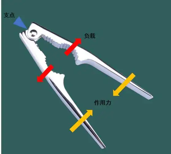 矩道科学自命不凡的杠杆