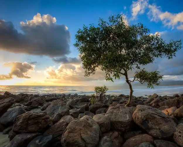 首页 自然和风景 日落和日出 海,岩石,孤独的树,天空,云,日落 壁纸 海