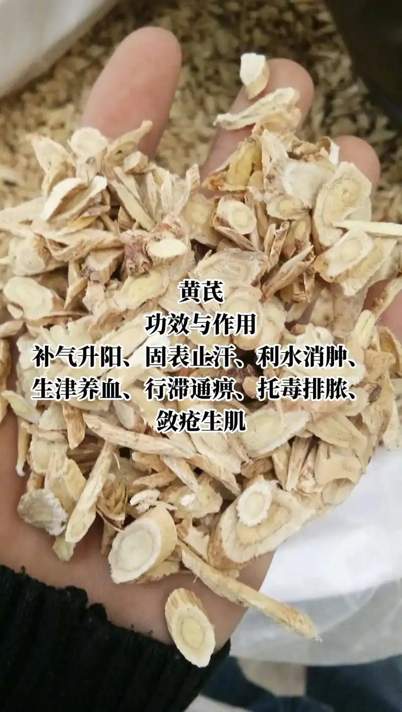 今天你有没有养生呢.你知道黄芪的好处吗#图文伙伴计划 #那奇 - 抖音