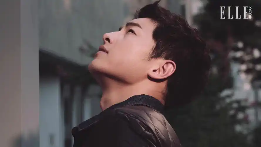 非泊老总赴韩欲用宋仲基作为品牌代言人