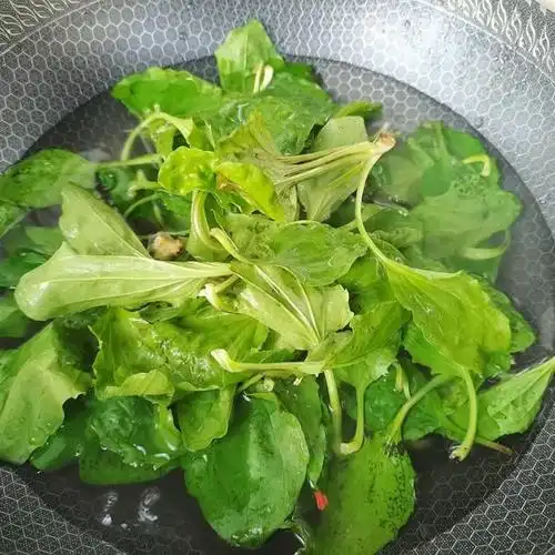 做法步骤:原料:车前草,鸡蛋,色拉油,盐.车前草炒鸡蛋