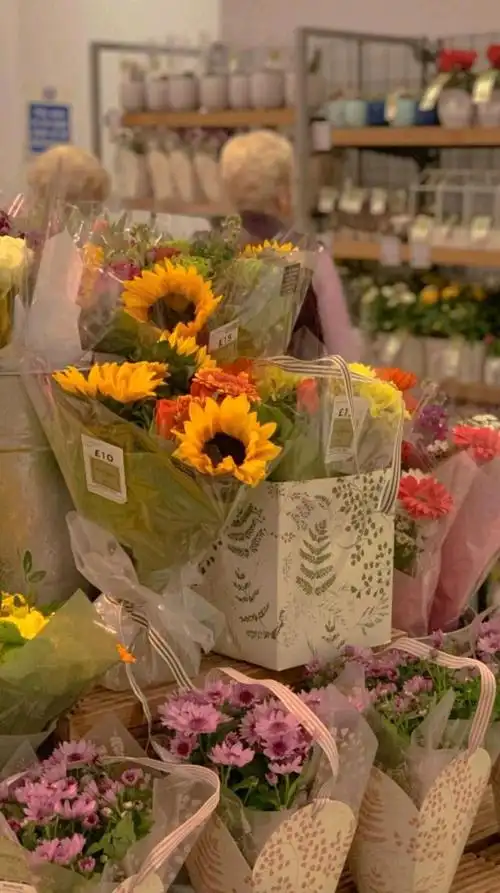 文艺风高清手机壁纸