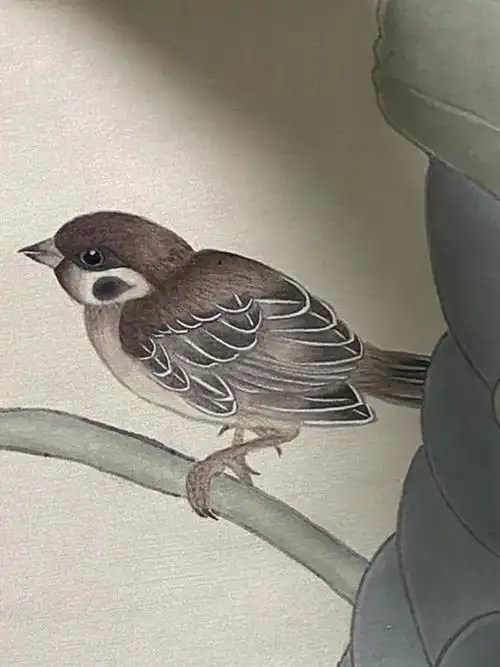 工笔画麻雀荷花