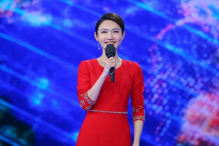 如何评价主持人龙洋