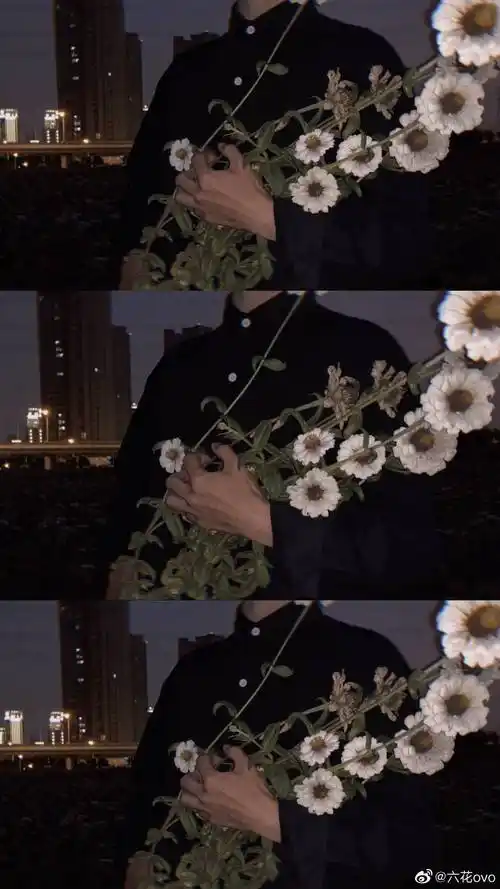 捧花男生头像 - 堆糖,美图壁纸兴趣社区