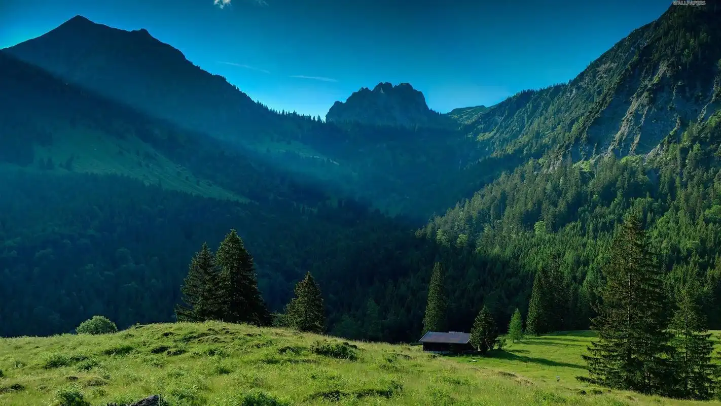 梦幻的林中木屋宽屏电脑桌面主题壁纸图片下载(三)