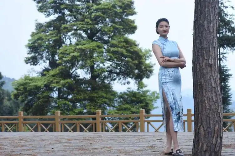 高山茶园露旗袍