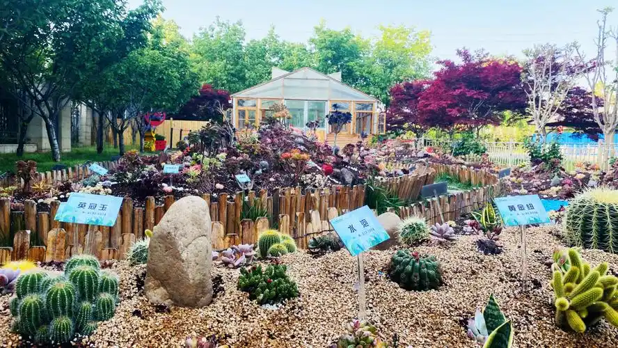 畅享劳动,乐在园林,线上打卡秘密花园看多肉