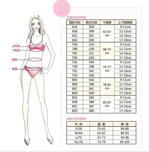 三围指的是哪三围362436是什么身材