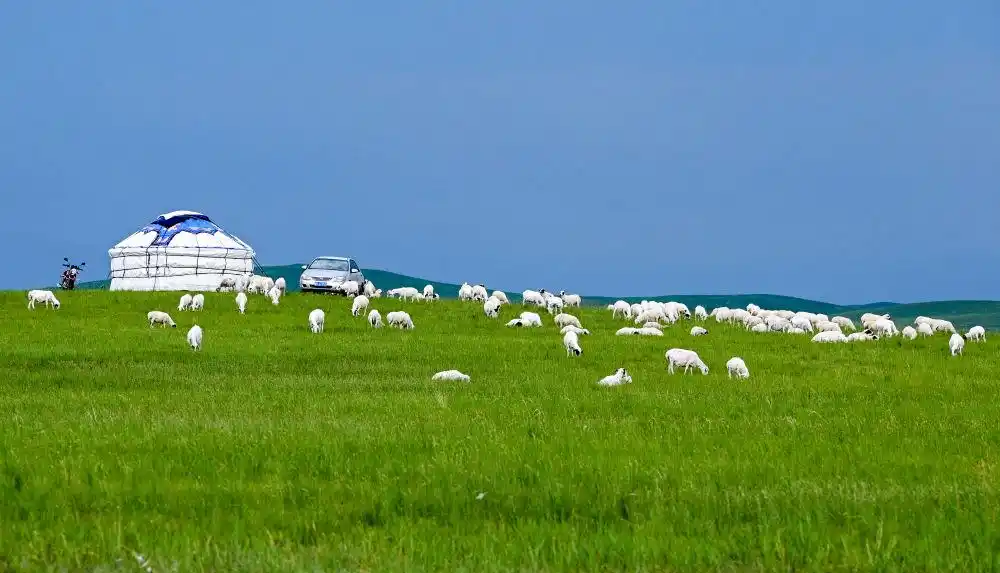 内蒙古打造北疆亮丽风景线