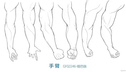 写生手臂—人体体块手臂肌肉的练习