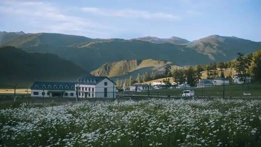 【电脑壁纸】ins风横图壁纸_表示歉意_图片_来自