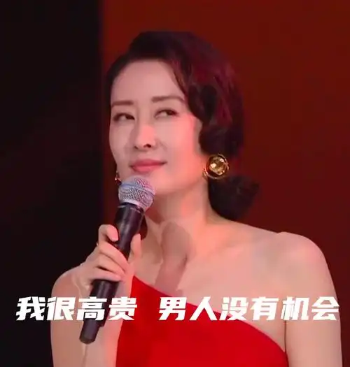 我很高贵男人没有机会刘敏涛表情包刘敏涛表情包刘敏涛表情