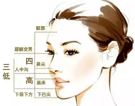 四高三低美学标准