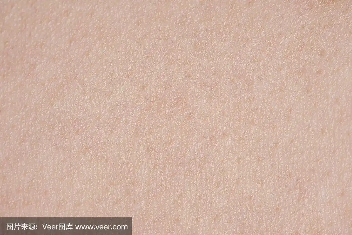 人类皮肤纹理