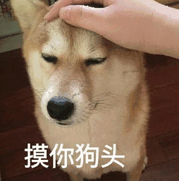 254_256gif 动态图 动图