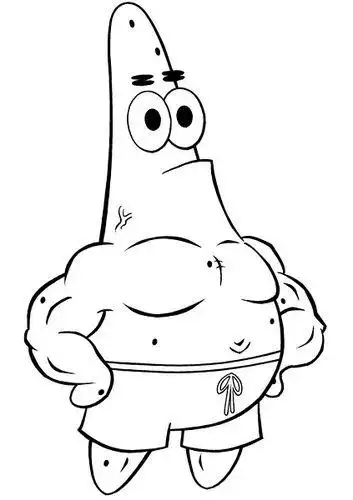 小动物胳膊肌肉简笔画