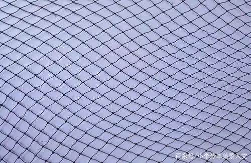 我们可以仔细观察生活中的一些事物,只要是具有一定的线条的事物,我们