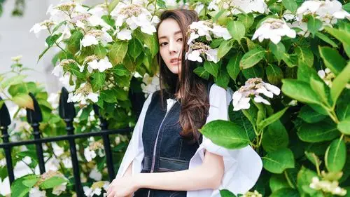 迪丽热巴图片壁纸616