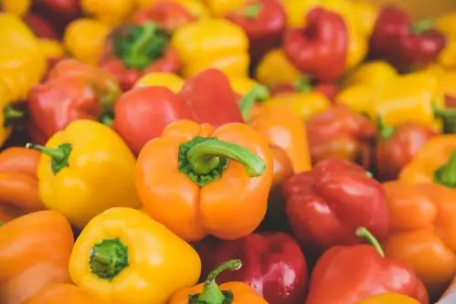 vegetable spotlight: peppers