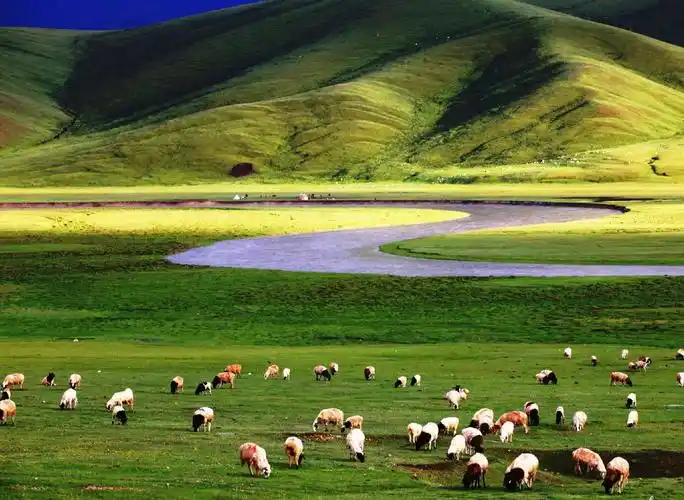 巴音布鲁克草原 《没走过独库公路,别说你到过新疆》 (五) 2019-06-06