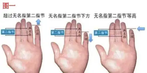 小指的长度看你婚姻运_手机新浪网