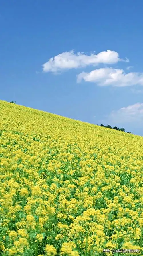 只求家人平安健康句子说说愿时光不老父母安康的句子