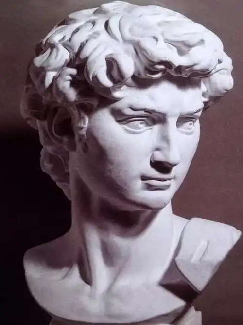 素描入门石膏大卫头像的画法步骤分析