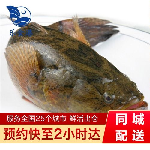 乐食港【活鲜】乐食港 鲜活活笋壳鱼新鲜 海鲜鱼类清蒸 鲜活水产整条