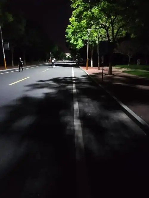 穿过空荡荡的走廊,走在林荫道上,微风吹拂过小树林,昏白的路灯下,影子