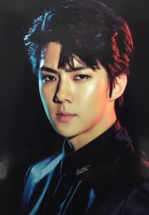 帅哥壁纸:男明星帅哥图片_男团exo吴世勋手机壁纸大全-小虾米