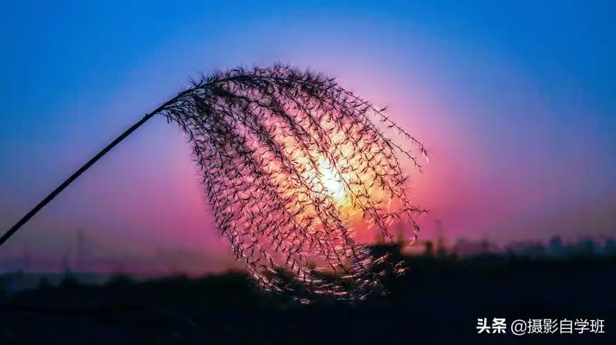 那些漂亮照片,都是咋拍的?这4个光影摄影技巧,帮你搞定