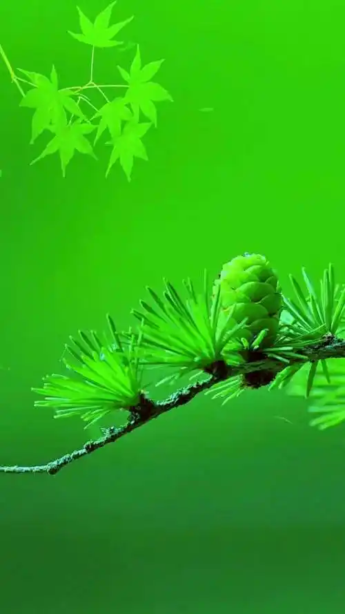 540_960竖版 竖屏