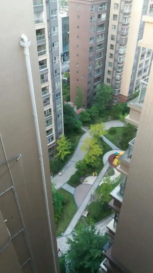 从天台上向下看,像是要栽倒下去似的.