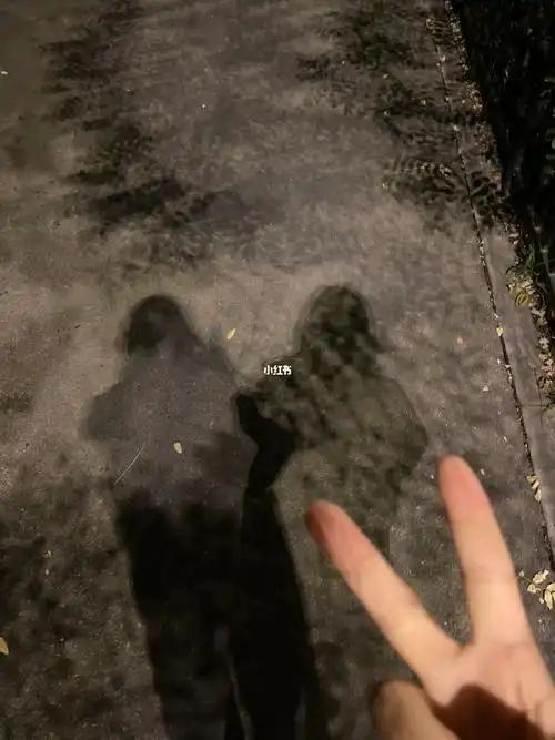 很久没有晚上独自散步,回想起以前研究生时期每晚十公里的日子,突然