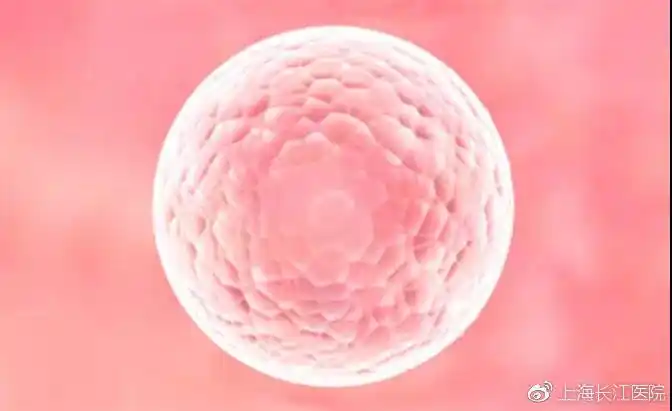 卵泡长到多大女性才能怀孕?-搜狐大视野-搜狐新闻