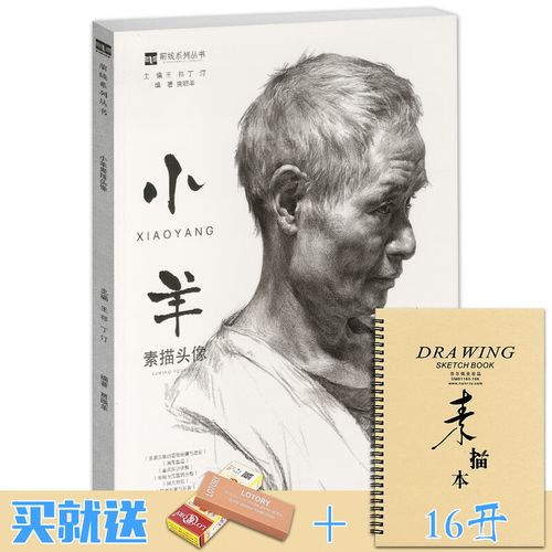 头像基础入门局部五官塑造素描肖像半身像范画临摹范本结构明暗步骤