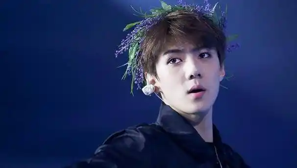 鹿晗和吴世勋长得像,照片中只有1个鹿晗,你能几秒找到,我用2秒_白色