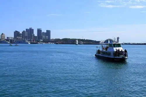 新青岛海滨风光