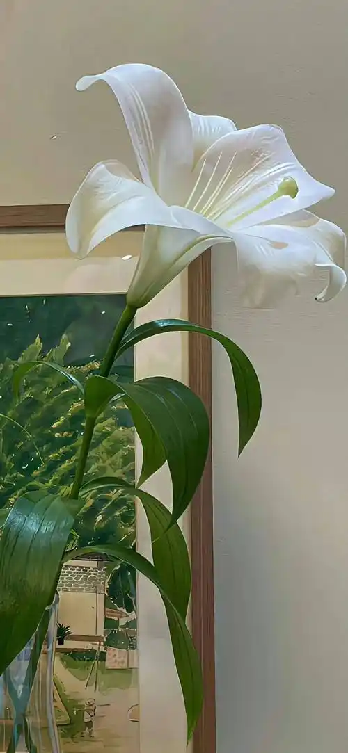 壁纸| 壁纸ins高级质感精选_全屏_高清_hello