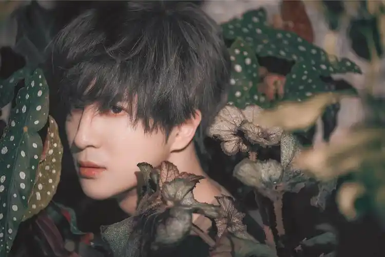 2020年11月16日 0:04   关注  壁纸 背景 爱豆 薛之谦 评论 收藏